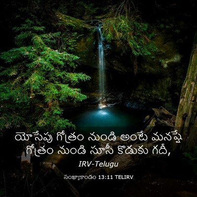 Picture 03 - సంఖ్యాకాండం 13:11 TELIRV - యోసేపు గోత్రం - Bible Verse Picture