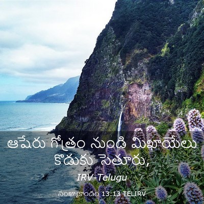 Picture 03 - సంఖ్యాకాండం 13:13 TELIRV - ఆషేరు గోత్రం - Bible Verse Picture