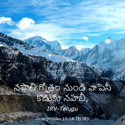 Picture 03 - సంఖ్యాకాండం 13:14 TELIRV - నఫ్తాలి గోత్రం - Bible Verse Picture
