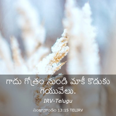 Picture 03 - సంఖ్యాకాండం 13:15 TELIRV - గాదు గోత్రం నుండి - Bible Verse Picture