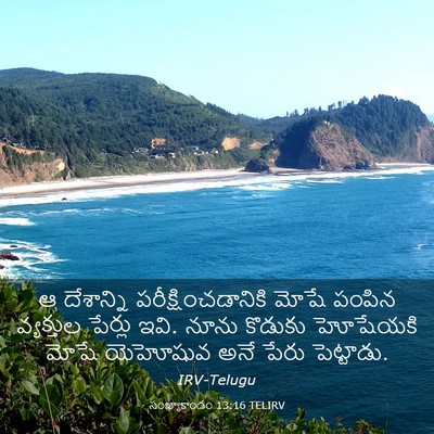 Picture 03 - సంఖ్యాకాండం 13:16 TELIRV - ఆ దేశాన్ని - Bible Verse Picture