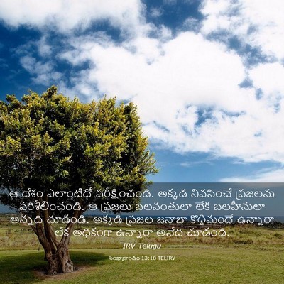 Picture 03 - సంఖ్యాకాండం 13:18 TELIRV - ఆ దేశం ఎలాంటిదో - Bible Verse Picture