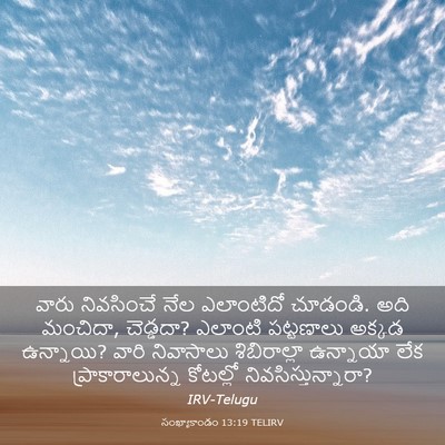 Picture 03 - సంఖ్యాకాండం 13:19 TELIRV - వారు నివసించే నేల - Bible Verse Picture