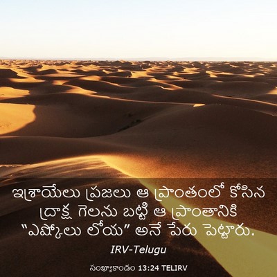 Picture 03 - సంఖ్యాకాండం 13:24 TELIRV - ఇశ్రాయేలు ప్రజలు - Bible Verse Picture