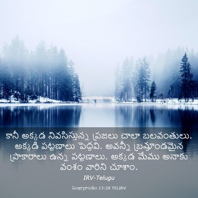 Picture 03 - సంఖ్యాకాండం 13:28 TELIRV - కానీ అక్కడ - Bible Verse Picture