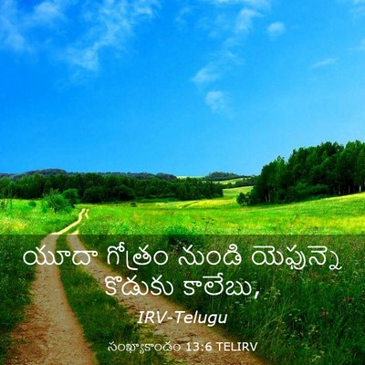 Picture 03 - సంఖ్యాకాండం 13:6 TELIRV - యూదా గోత్రం నుండి - Bible Verse Picture