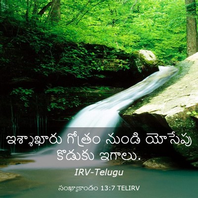 Picture 03 - సంఖ్యాకాండం 13:7 TELIRV - ఇశ్శాఖారు గోత్రం - Bible Verse Picture