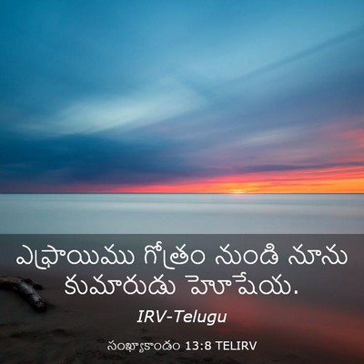 Picture 03 - సంఖ్యాకాండం 13:8 TELIRV - ఎఫ్రాయిము గోత్రం - Bible Verse Picture
