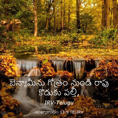 Picture 03 - సంఖ్యాకాండం 13:9 TELIRV - బెన్యామీను గోత్రం - Bible Verse Picture