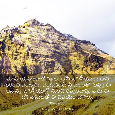 Picture 03 - సంఖ్యాకాండం 14:13 TELIRV - మోషే యెహోవాతో - Bible Verse Picture