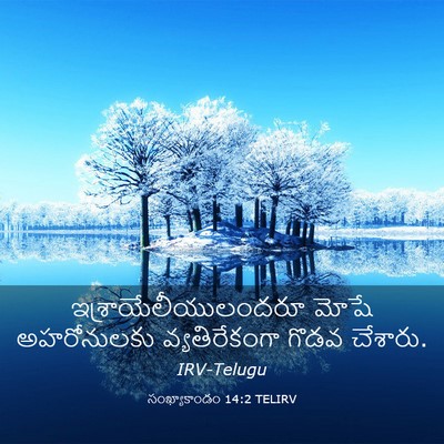 Picture 03 - సంఖ్యాకాండం 14:2 TELIRV - ఇశ్రాయేలీయులందరూ - Bible Verse Picture