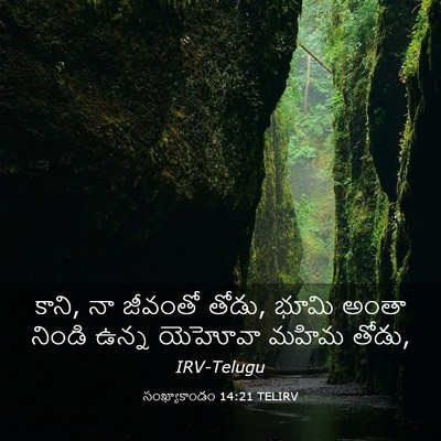 Picture 03 - సంఖ్యాకాండం 14:21 TELIRV - కాని, నా జీవంతో - Bible Verse Picture