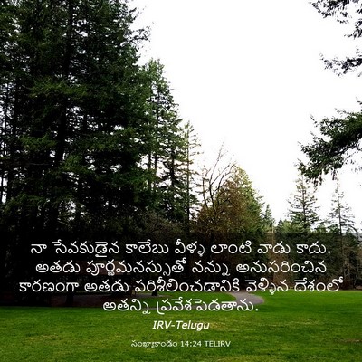 Picture 03 - సంఖ్యాకాండం 14:24 TELIRV - నా సేవకుడైన - Bible Verse Picture