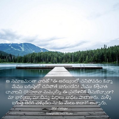 Picture 03 - సంఖ్యాకాండం 14:3 TELIRV - ఆ సమాజమంతా వారితో - Bible Verse Picture