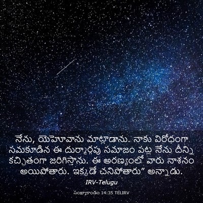 Picture 03 - సంఖ్యాకాండం 14:35 TELIRV - నేను, యెహోవాను - Bible Verse Picture