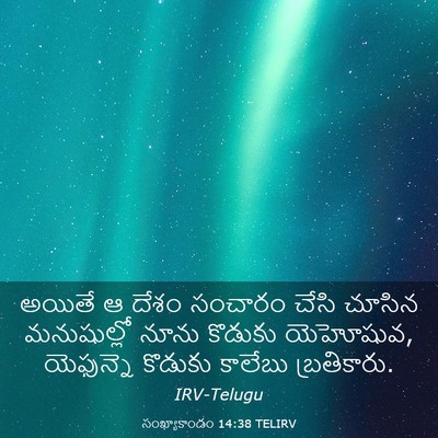 Picture 03 - సంఖ్యాకాండం 14:38 TELIRV - అయితే ఆ దేశం - Bible Verse Picture
