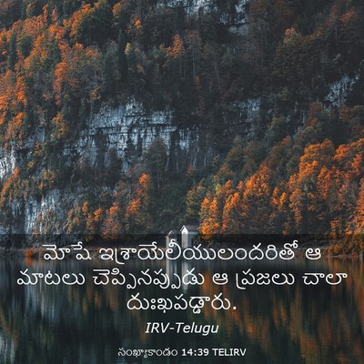 Picture 03 - సంఖ్యాకాండం 14:39 TELIRV - మోషే - Bible Verse Picture