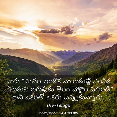 Picture 03 - సంఖ్యాకాండం 14:4 TELIRV - వారు “మనం ఇంకొక - Bible Verse Picture