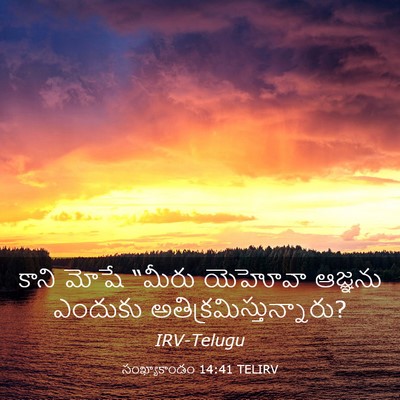 Picture 03 - సంఖ్యాకాండం 14:41 TELIRV - కాని మోషే “మీరు - Bible Verse Picture