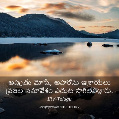 Picture 03 - సంఖ్యాకాండం 14:5 TELIRV - అప్పుడు మోషే, - Bible Verse Picture