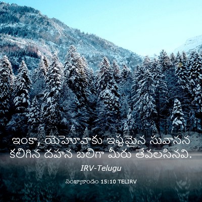 Picture 03 - సంఖ్యాకాండం 15:10 TELIRV - ఇంకా, యెహోవాకు - Bible Verse Picture
