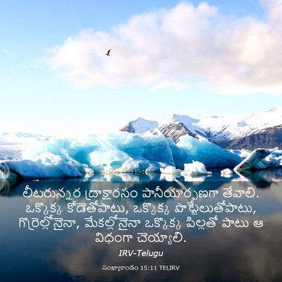 Picture 03 - సంఖ్యాకాండం 15:11 TELIRV - లీటరున్నర - Bible Verse Picture