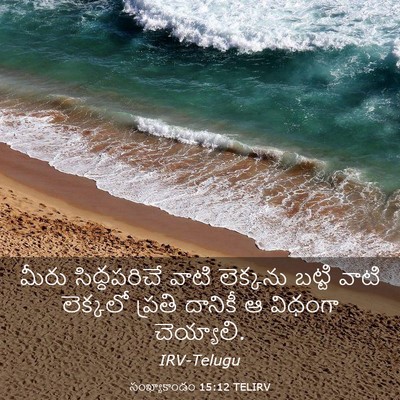 Picture 03 - సంఖ్యాకాండం 15:12 TELIRV - మీరు సిద్ధపరిచే - Bible Verse Picture