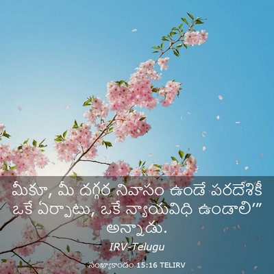 Picture 03 - సంఖ్యాకాండం 15:16 TELIRV - మీకూ, మీ దగ్గర - Bible Verse Picture