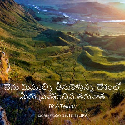 Picture 03 - సంఖ్యాకాండం 15:18 TELIRV - నేను మిమ్మల్ని - Bible Verse Picture