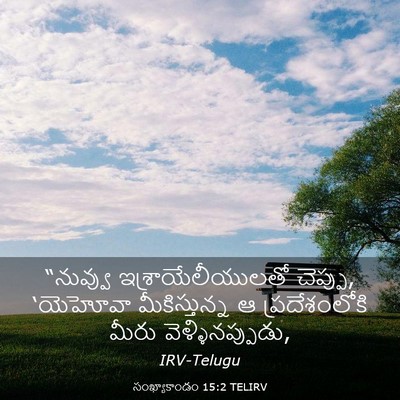 Picture 03 - సంఖ్యాకాండం 15:2 TELIRV - “నువ్వు - Bible Verse Picture