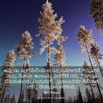 Picture 03 - సంఖ్యాకాండం 15:26 TELIRV - అప్పుడు - Bible Verse Picture