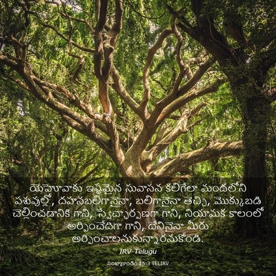Picture 03 - సంఖ్యాకాండం 15:3 TELIRV - యెహోవాకు ఇష్టమైన - Bible Verse Picture