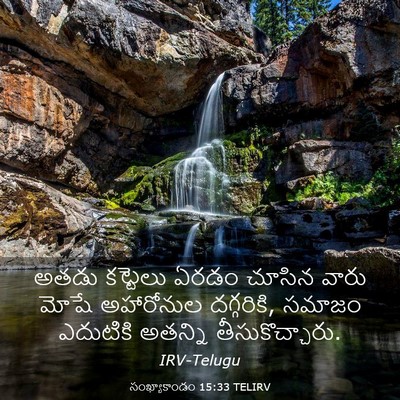 Picture 03 - సంఖ్యాకాండం 15:33 TELIRV - అతడు కట్టెలు ఏరడం - Bible Verse Picture