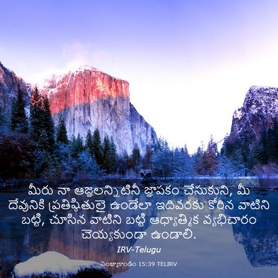 Picture 03 - సంఖ్యాకాండం 15:39 TELIRV - మీరు నా - Bible Verse Picture