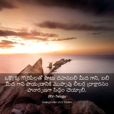 Picture 03 - సంఖ్యాకాండం 15:5 TELIRV - ఒక్కొక్క - Bible Verse Picture