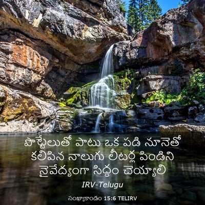 Picture 03 - సంఖ్యాకాండం 15:6 TELIRV - పొట్టేలుతో పాటు - Bible Verse Picture