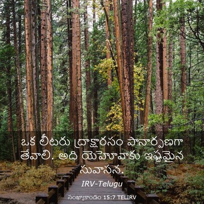 Picture 03 - సంఖ్యాకాండం 15:7 TELIRV - ఒక లీటరు - Bible Verse Picture