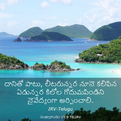 Picture 03 - సంఖ్యాకాండం 15:9 TELIRV - దానితో పాటు, - Bible Verse Picture