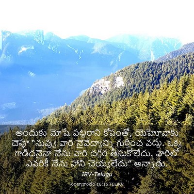 Picture 03 - సంఖ్యాకాండం 16:15 TELIRV - అందుకు మోషే - Bible Verse Picture
