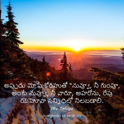 Picture 03 - సంఖ్యాకాండం 16:16 TELIRV - అప్పుడు మోషే - Bible Verse Picture
