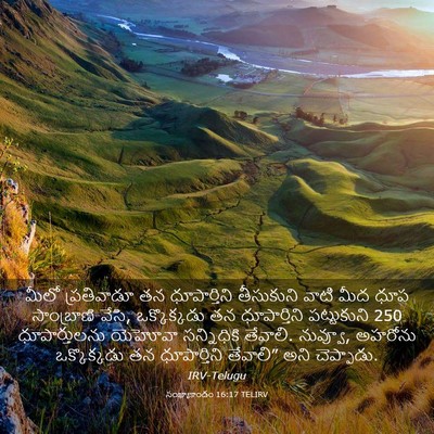 Picture 03 - సంఖ్యాకాండం 16:17 TELIRV - మీలో ప్రతివాడూ తన - Bible Verse Picture