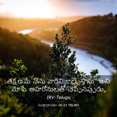 Picture 03 - సంఖ్యాకాండం 16:21 TELIRV - తక్షణమే నేను - Bible Verse Picture