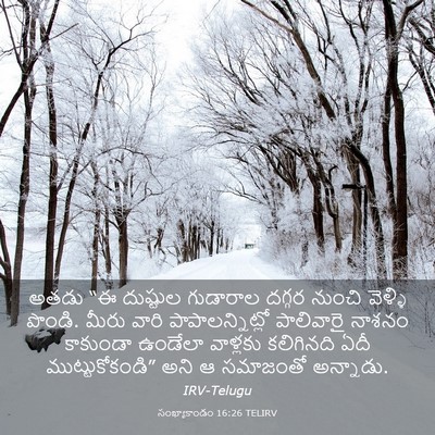 Picture 03 - సంఖ్యాకాండం 16:26 TELIRV - అతడు “ఈ దుష్టుల - Bible Verse Picture