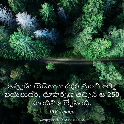 Picture 03 - సంఖ్యాకాండం 16:35 TELIRV - అప్పుడు యెహోవా - Bible Verse Picture