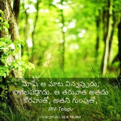 Picture 03 - సంఖ్యాకాండం 16:4 TELIRV - మోషే ఆ మాట - Bible Verse Picture