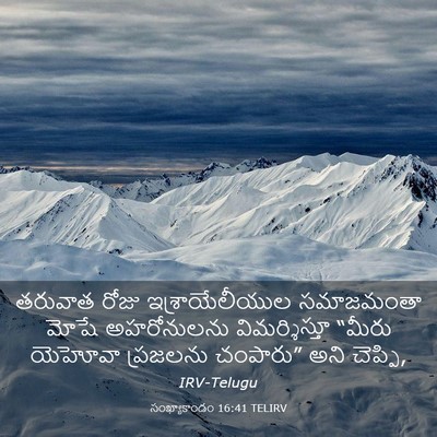 Picture 03 - సంఖ్యాకాండం 16:41 TELIRV - తరువాత రోజు - Bible Verse Picture
