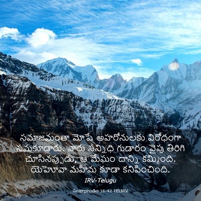 Picture 03 - సంఖ్యాకాండం 16:42 TELIRV - సమాజమంతా మోషే - Bible Verse Picture