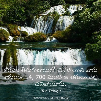 Picture 03 - సంఖ్యాకాండం 16:49 TELIRV - కోరహు - Bible Verse Picture