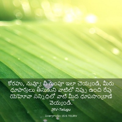 Picture 03 - సంఖ్యాకాండం 16:6 TELIRV - కోరహు, నువ్వూ నీ - Bible Verse Picture