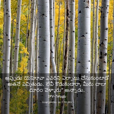 Picture 03 - సంఖ్యాకాండం 16:7 TELIRV - అప్పుడు యెహోవా - Bible Verse Picture